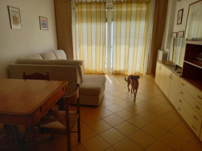 CASA ELSA